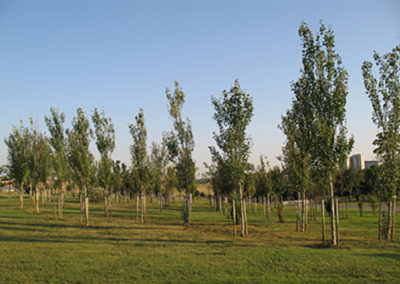 PARCO DELLE SABINEurban park in the Municipality of Bufalotta